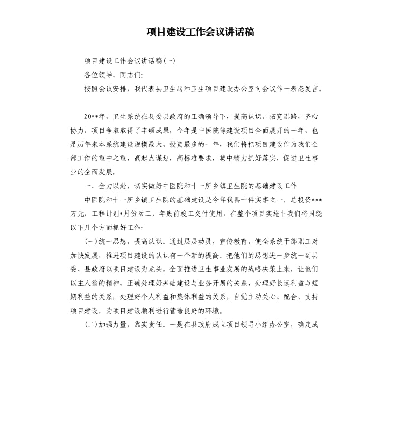 项目建设工作会议讲话稿.docx_第1页