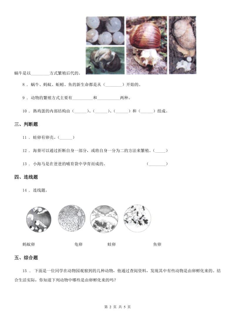 2019-2020学年教科版科学三年级下册2.2 认识其他动物的卵练习卷_第2页