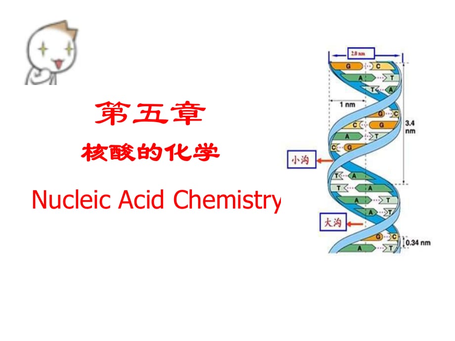 《核酸化學》課件_第1頁