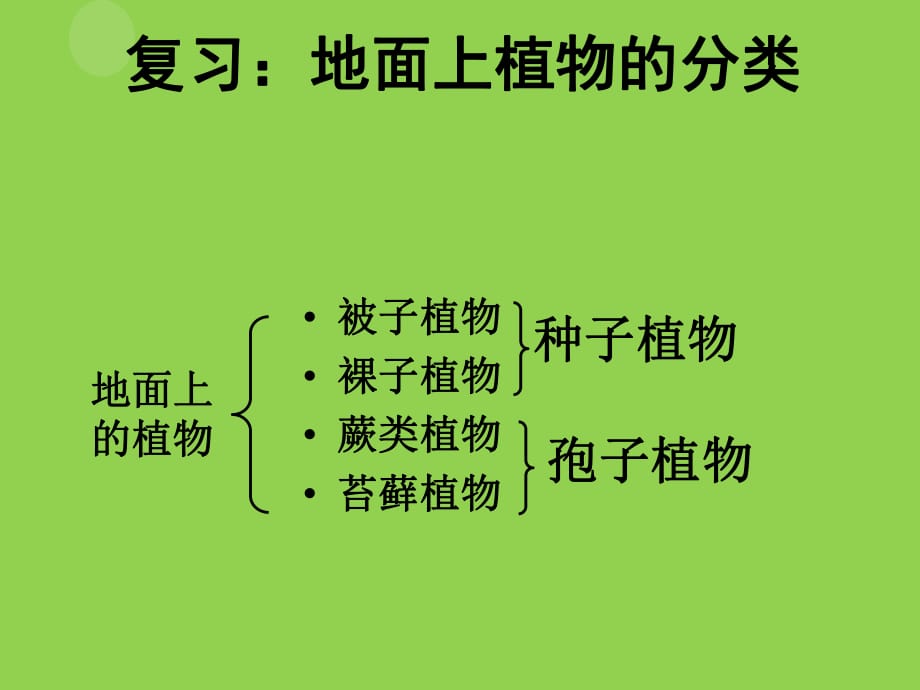 《地面上的動物》PPT課件_第1頁