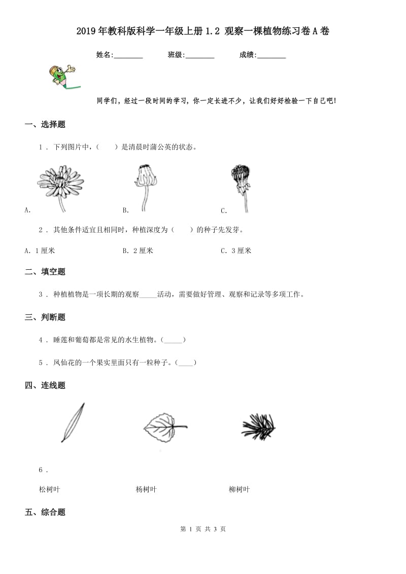 2019年教科版科学一年级上册1.2 观察一棵植物练习卷A卷_第1页