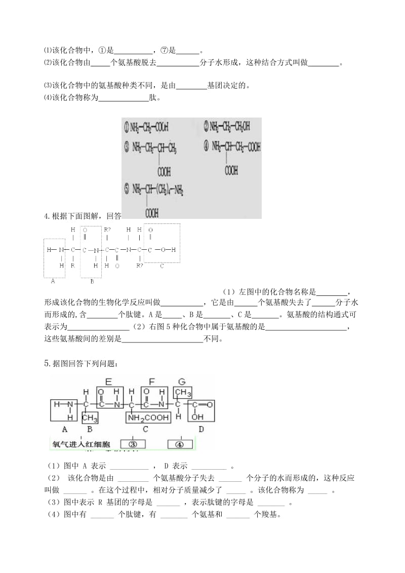 高一生物蛋白质练习题_第3页