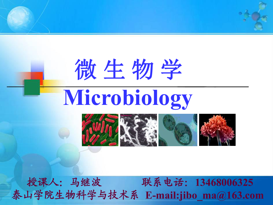 《微生物課件》PPT課件_第1頁