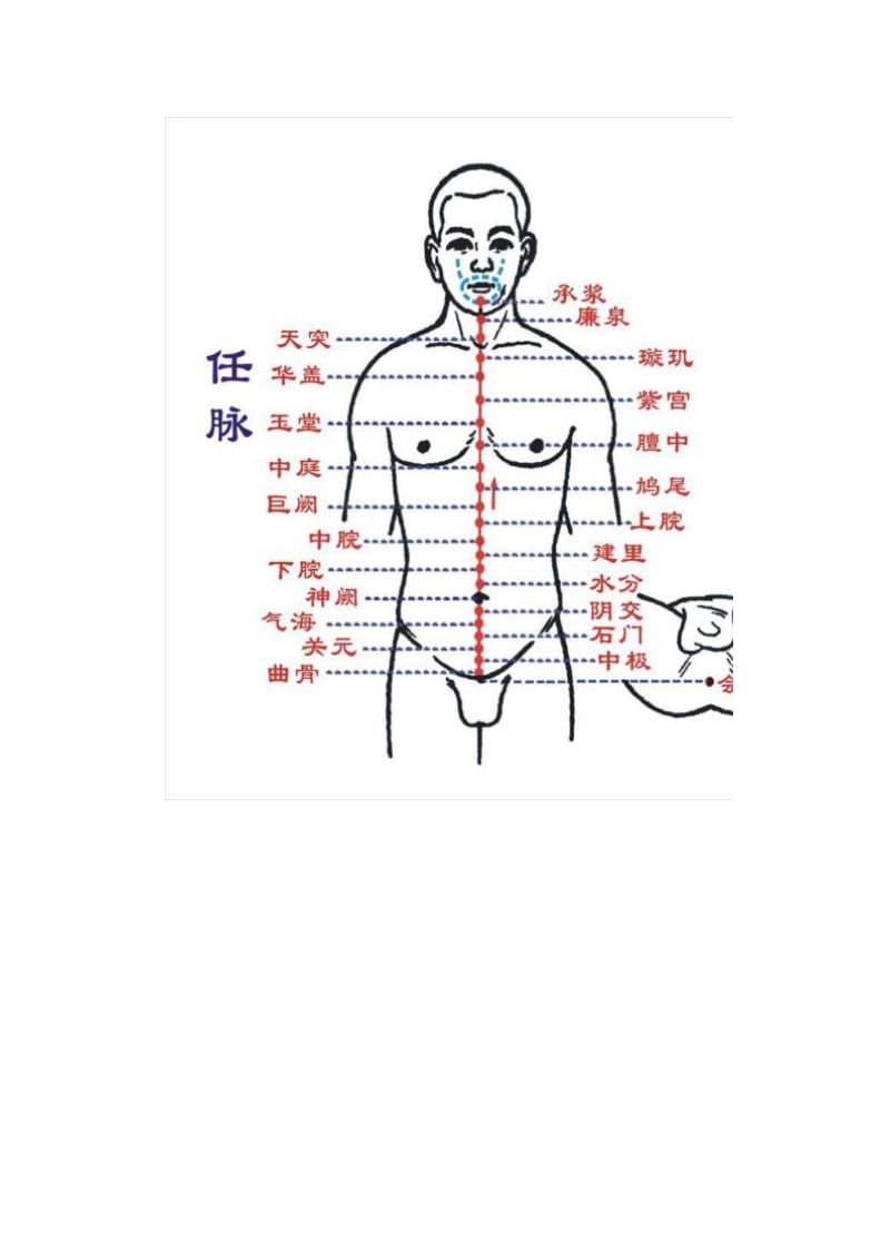 人体十四条经络、穴位全图_第2页