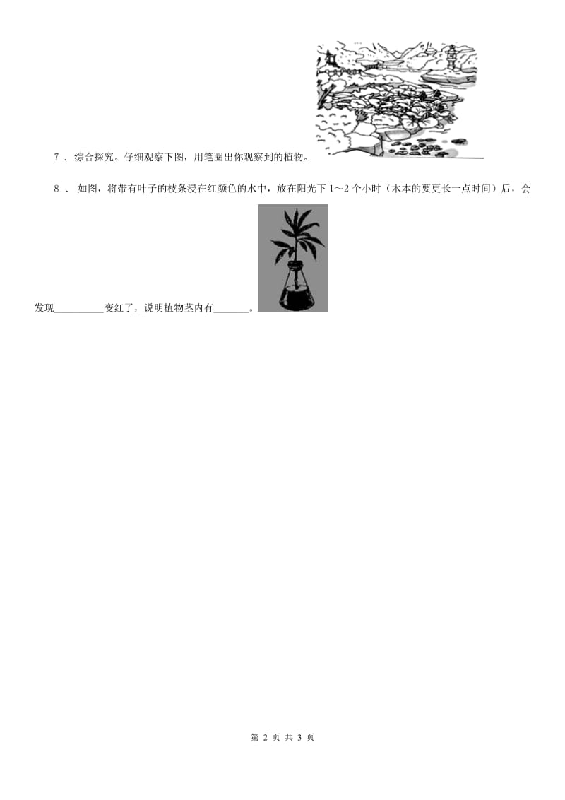 2019年教科版科学一年级上册6.校园里的植物D卷_第2页