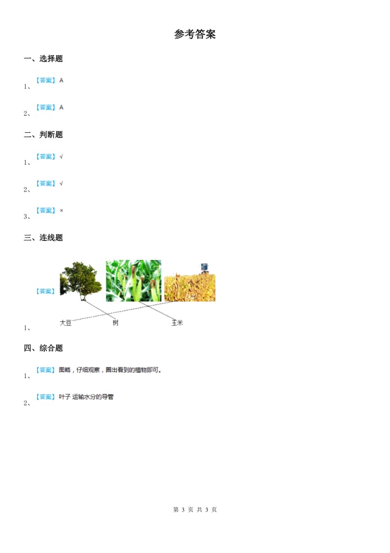 2019年教科版科学一年级上册6.校园里的植物D卷_第3页