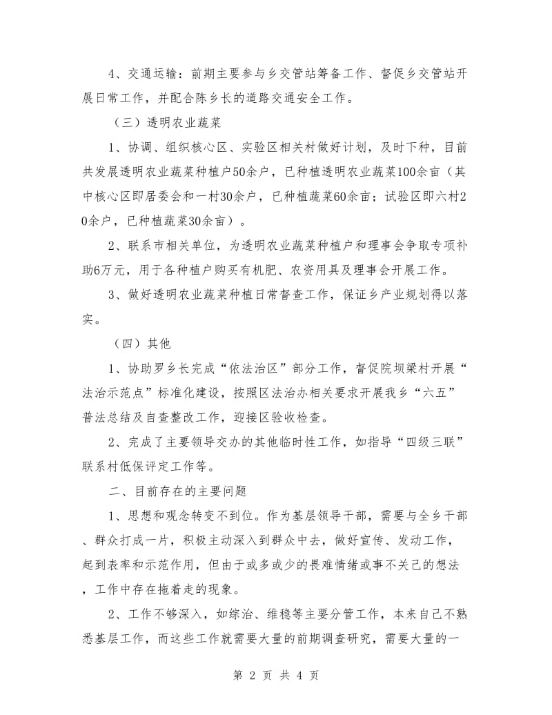 乡党委副书记个人述职报告_第2页