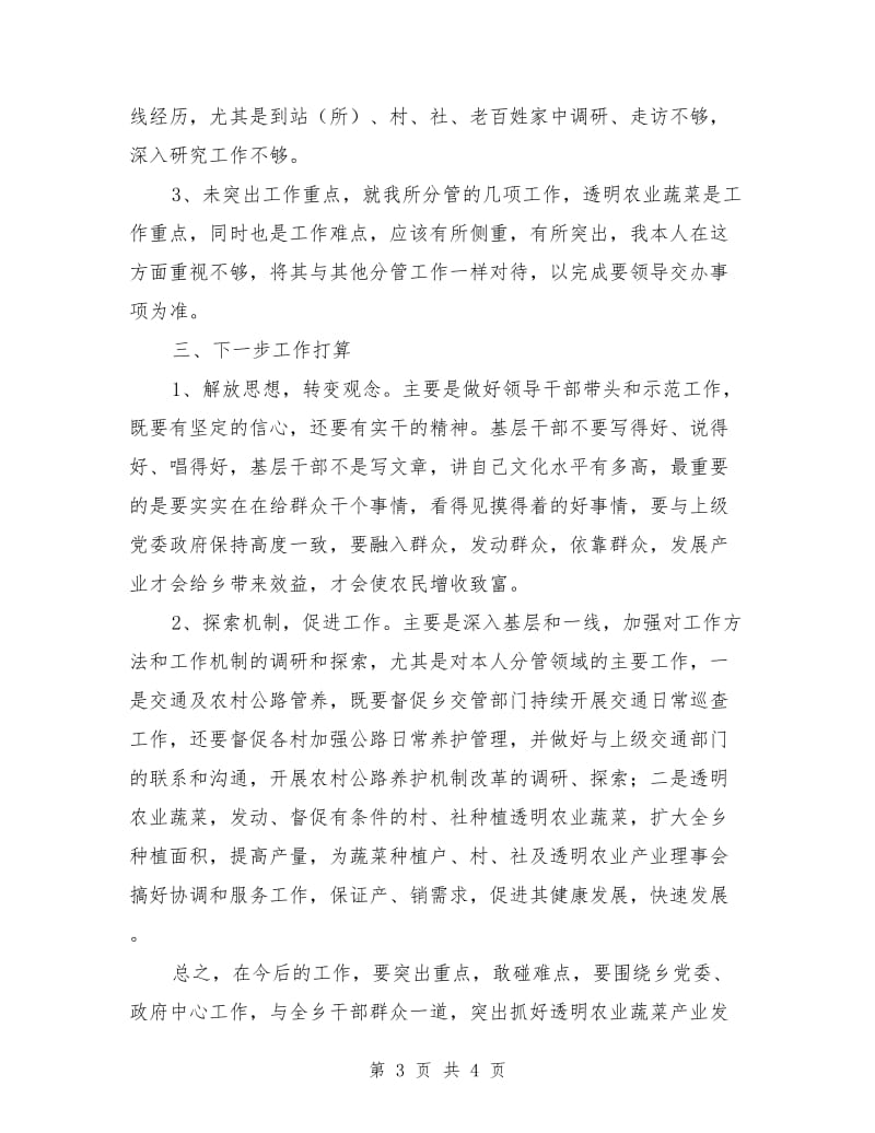 乡党委副书记个人述职报告_第3页