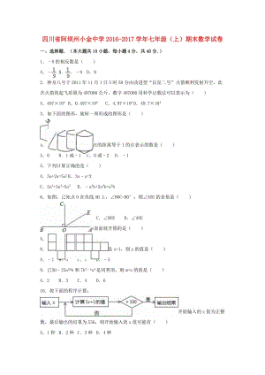 七年級(jí)數(shù)學(xué)上學(xué)期期末試卷（含解析） 新人教版 (7)