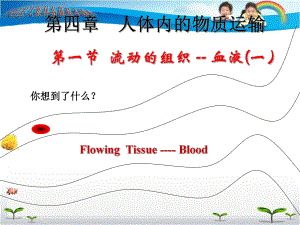 流動的組織 血液