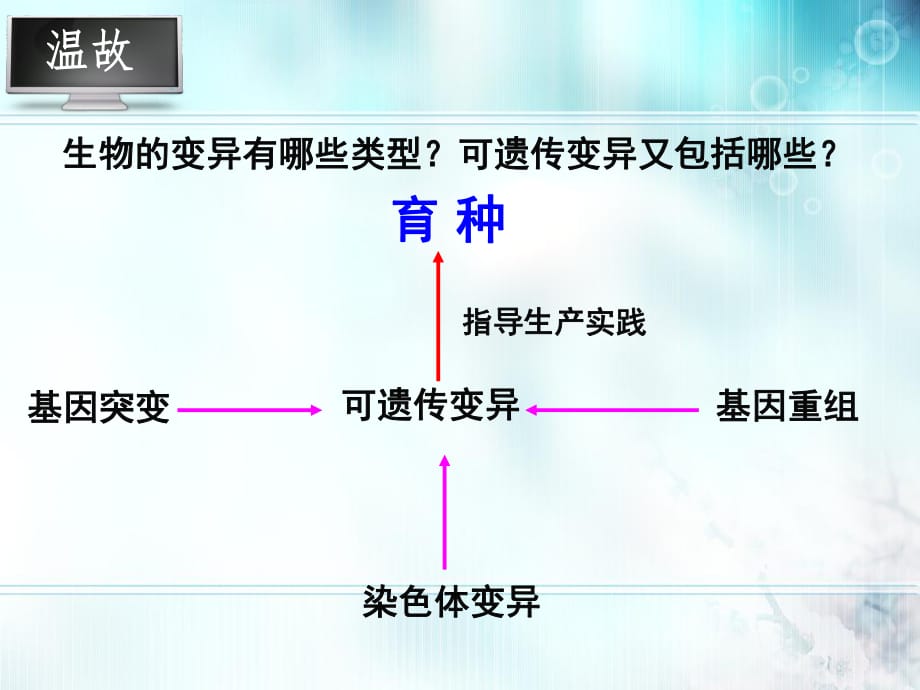 杂交育种与诱变育种_第1页