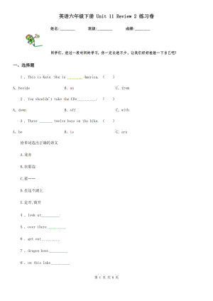 英語六年級(jí)下冊(cè) Unit 11 Review 2 練習(xí)卷