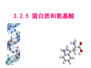 蘇教版高一化學(xué)必修2《蛋白質(zhì)和氨基酸》