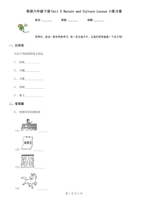 英語六年級(jí)下冊Unit 5 Nature and Culture Lesson 3練習(xí)卷