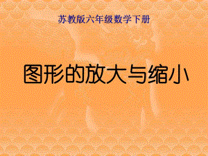 蘇教版六年級(jí)數(shù)學(xué)下冊(cè)《圖形的放大與縮小》