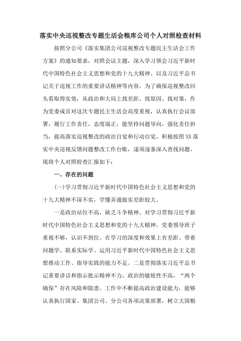 落实中央巡视整改专题生活会粮库公司个人对照检查材料_第1页