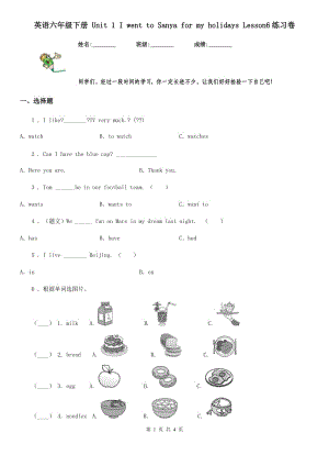 英語(yǔ)六年級(jí)下冊(cè) Unit 1 I went to Sanya for my holidays Lesson6練習(xí)卷