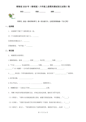青海省2020年（春秋版）六年级上册期末测试语文试卷C卷
