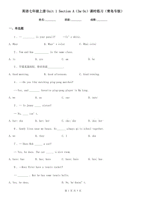 英語七年級上冊Unit 1 Section A（3a-3c）課時練習(xí)（青島專版）