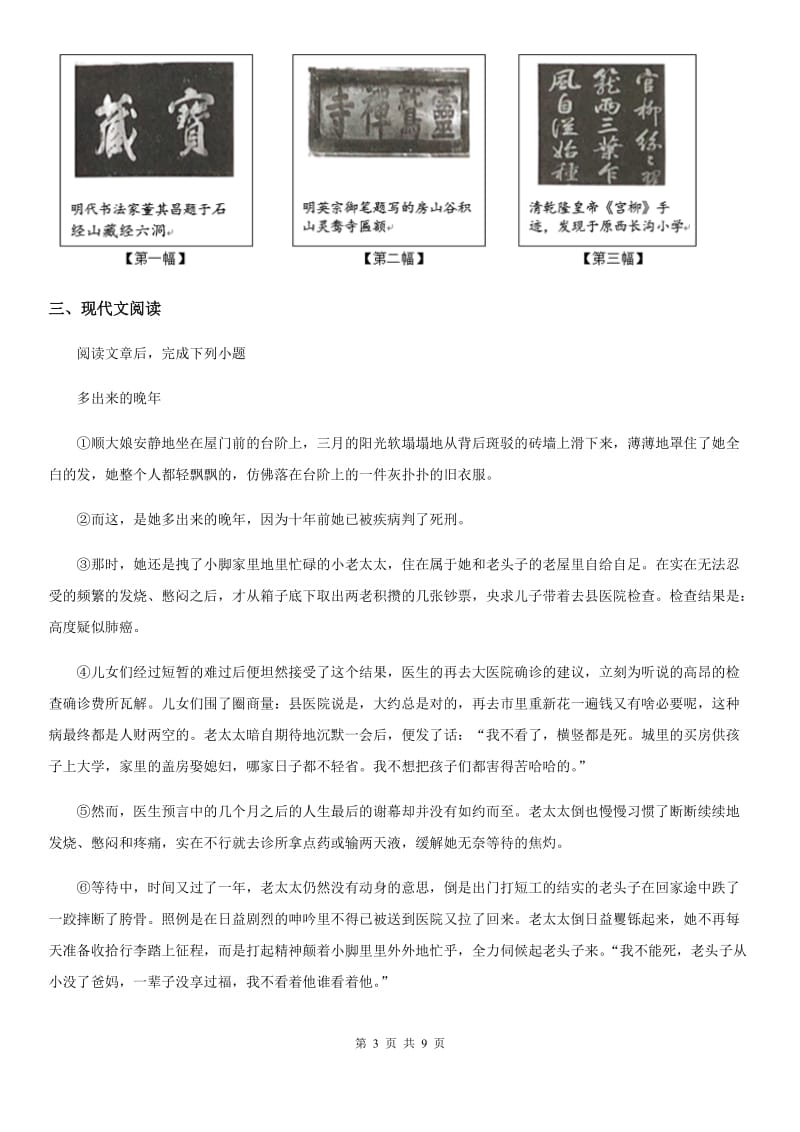 河南省2019-2020年度九年级上学期期末语文试题B卷（练习）_第3页