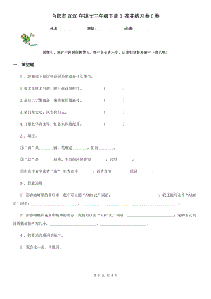 合肥市2020年語文三年級下冊3 荷花練習(xí)卷C卷