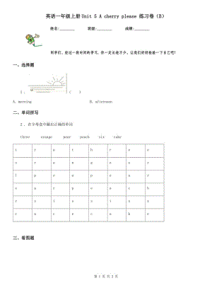 英語(yǔ)一年級(jí)上冊(cè)Unit 5 A cherry please 練習(xí)卷（B）