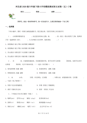 河北省2020版六年级下册小升初模拟测试语文试卷（五）C卷