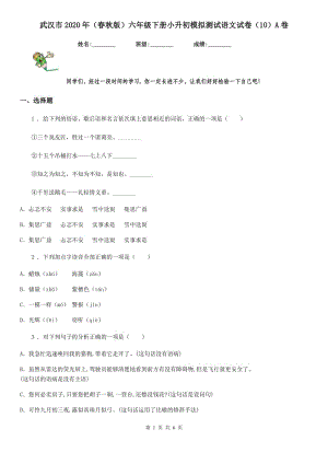 武汉市2020年（春秋版）六年级下册小升初模拟测试语文试卷（10）A卷