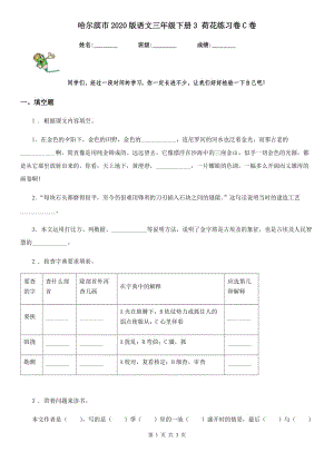 哈爾濱市2020版語文三年級下冊3 荷花練習(xí)卷C卷