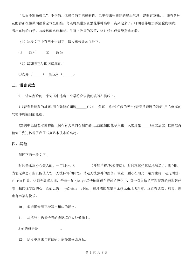 中考语文复习考点透视训练（四）考点透视练习词语的理解与运用_第3页