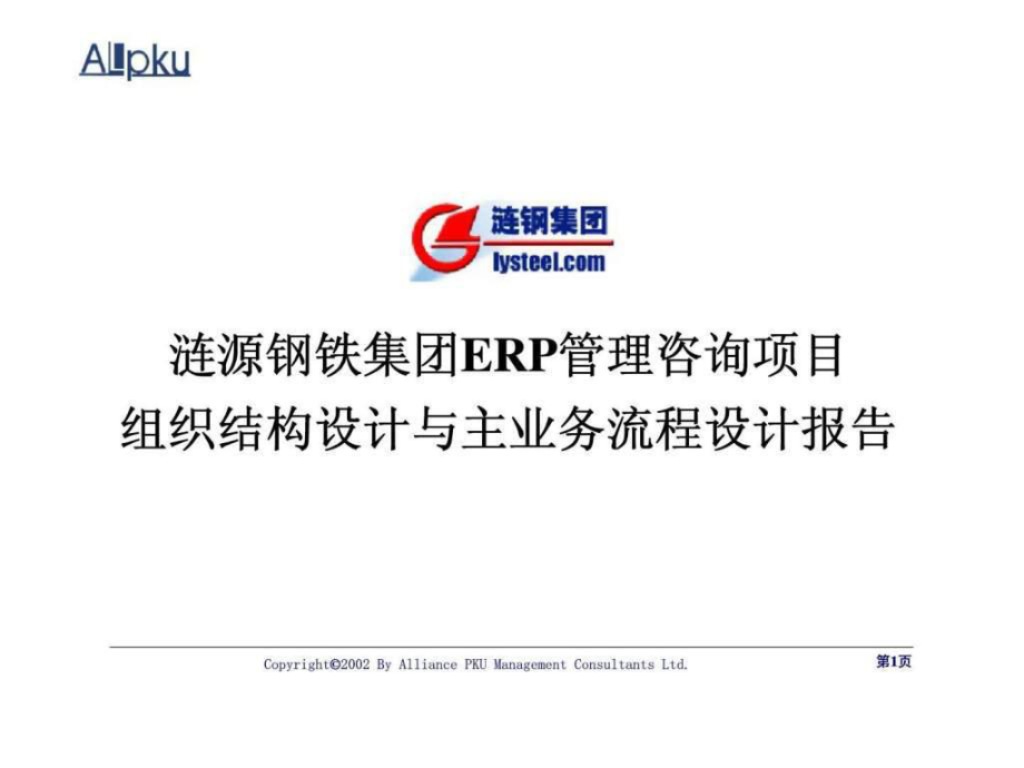 漣源鋼鐵集團(tuán)ERP管理咨詢項目組織結(jié)構(gòu)設(shè)計與主業(yè)務(wù)流程設(shè)計報告_第1頁