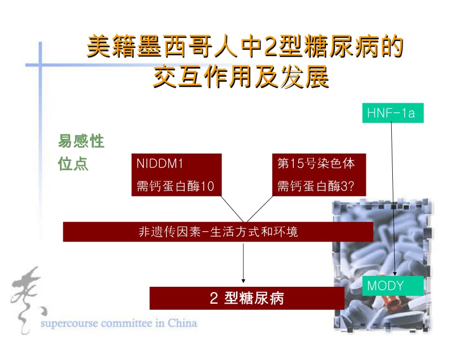 美籍墨西哥人中2型糖尿病的交互作用及發(fā)展_第1頁(yè)