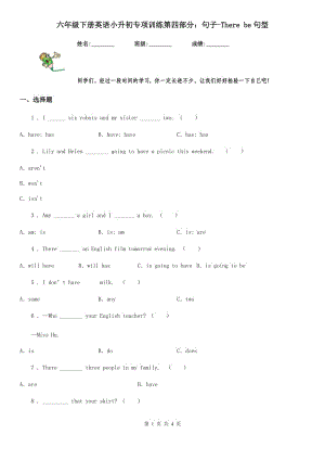 六年級下冊英語小升初專項訓(xùn)練第四部分：句子-There be句型