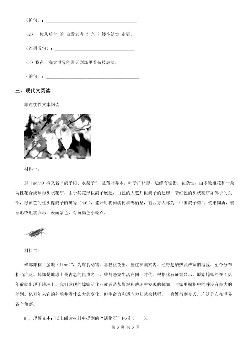 河南省2020年（春秋版）一年级上册第三次月考语文试卷（B卷）A卷_第3页