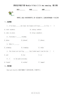 英語(yǔ)五年級(jí)下冊(cè) Module 6 Unit 2 It was amazing. 練習(xí)卷