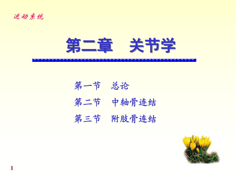 溫州醫(yī)科大學(xué)《系統(tǒng)解剖學(xué)》關(guān)節(jié)學(xué)_第1頁