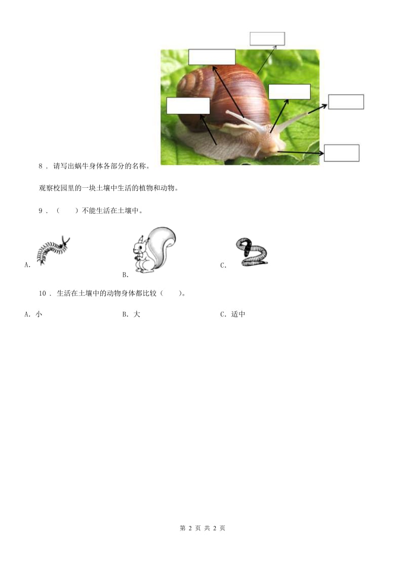 科学2019-2020学年二年级上册2.土壤——动植物的乐园（II）卷_第2页