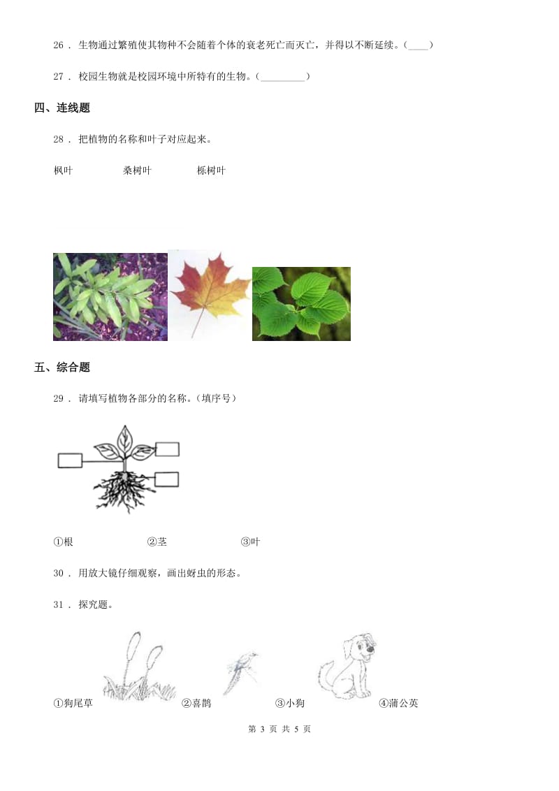 北京市科学三年级上册第二单元形成性测试卷（1）_第3页