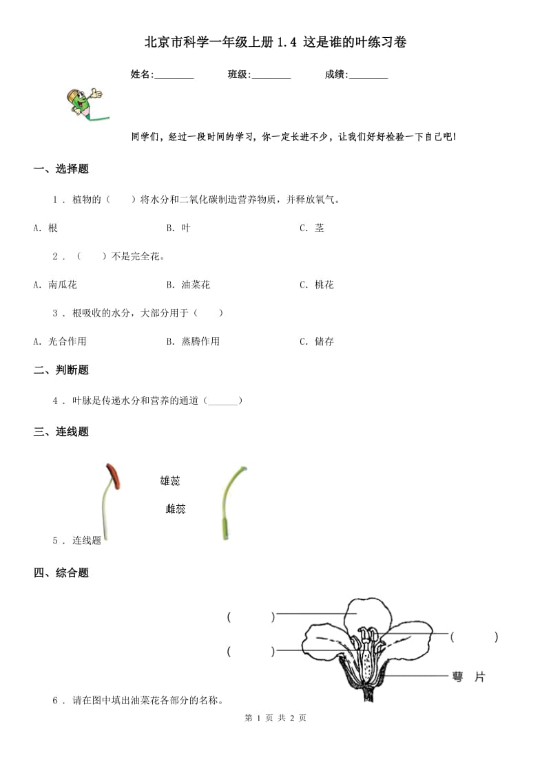 北京市科学一年级上册1.4 这是谁的叶练习卷_第1页