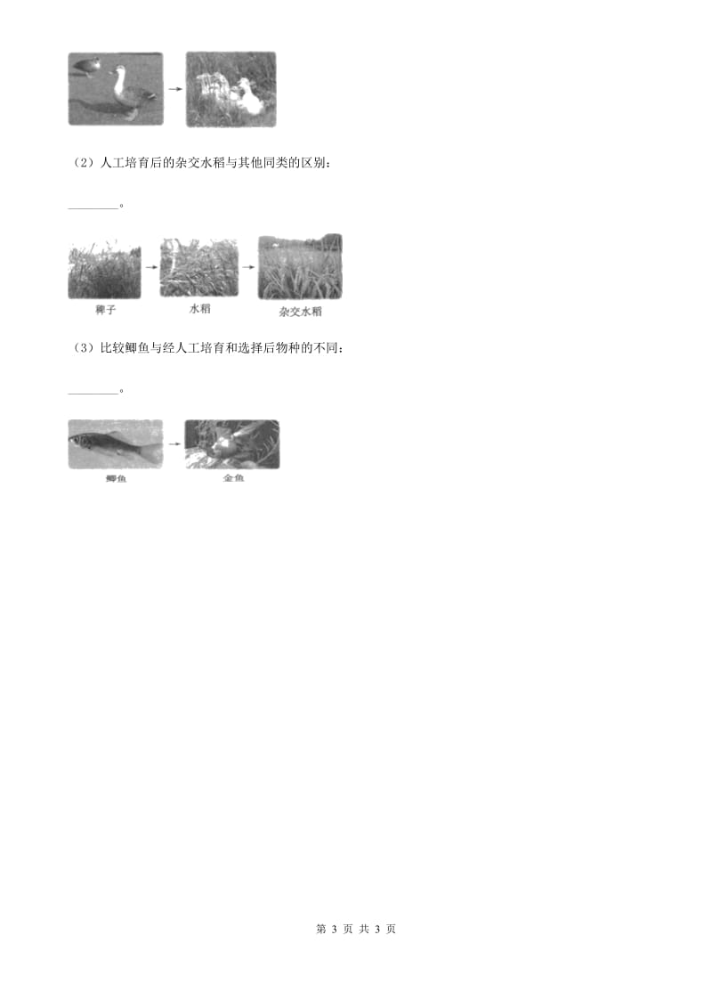 科学2019-2020学年度三年级下册2.5 茧中钻出了蚕蛾练习卷（I）卷（模拟）_第3页