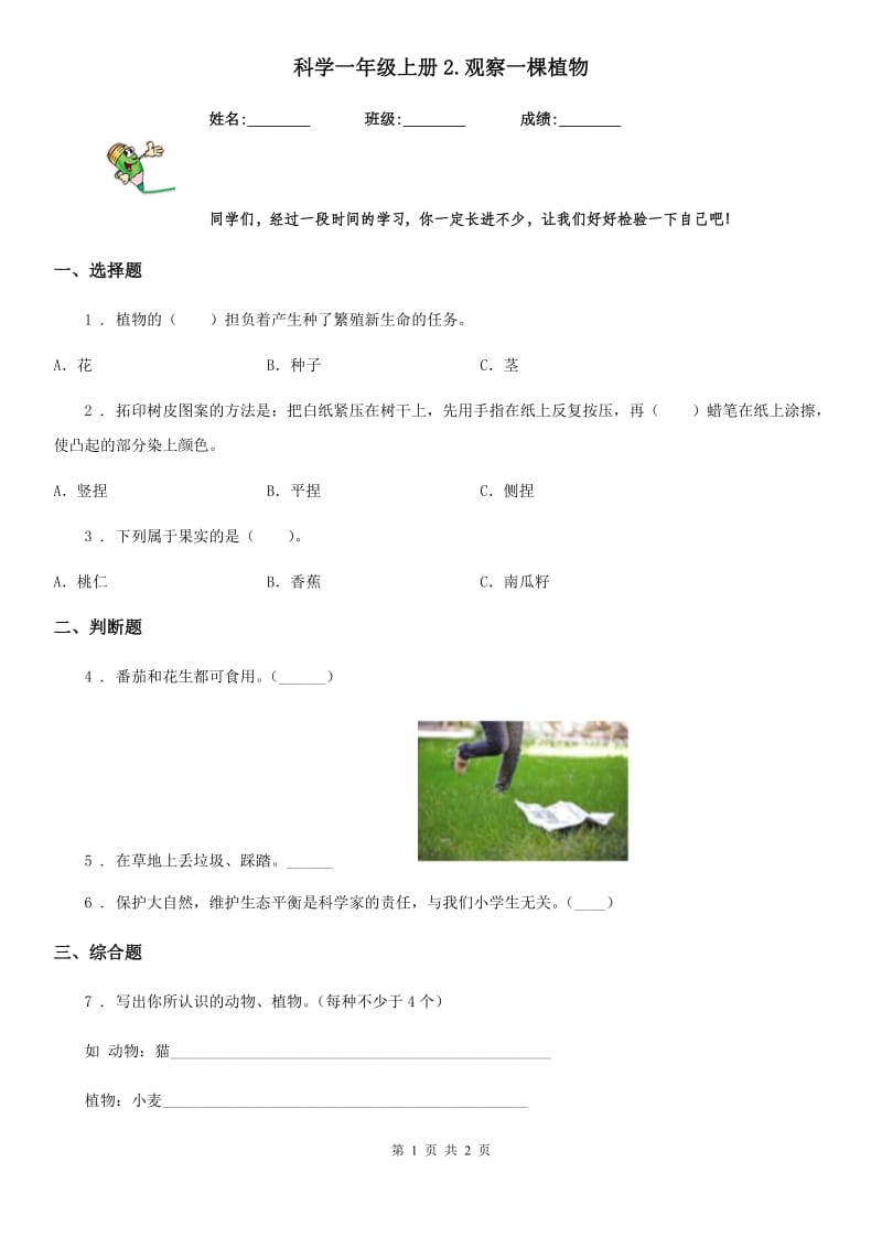 科学一年级上册2.观察一棵植物_第1页