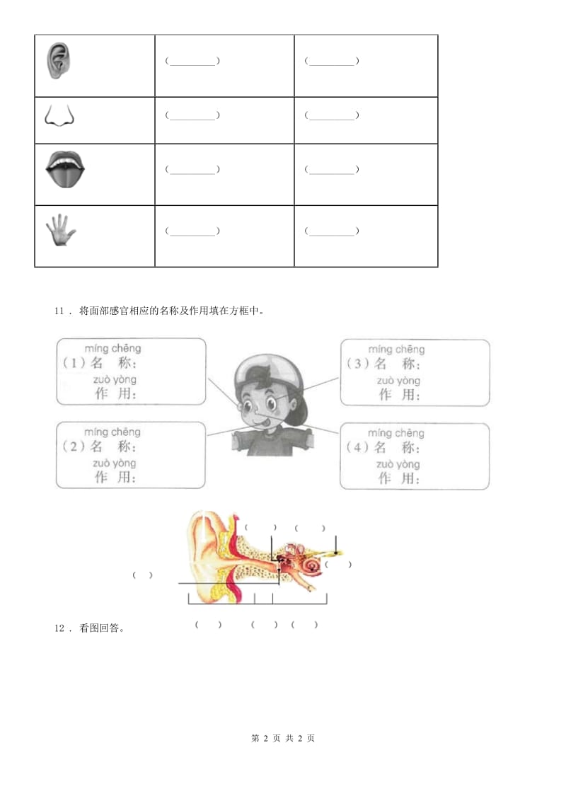 科学2019-2020年一年级上册5 感官总动员练习卷B卷_第2页