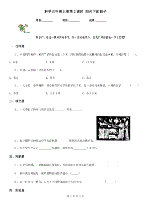 科學五年級上冊第2課時 陽光下的影子