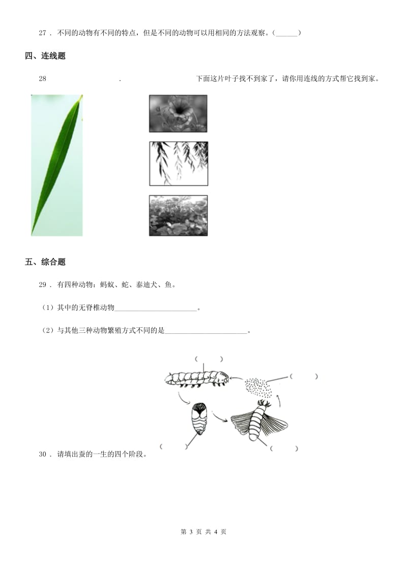 科学2020年三年级上册第二单元形成性测试卷（1）（II）卷_第3页