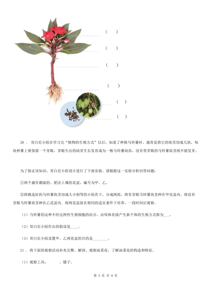 科学2020版三年级下册第二单元形成性测试卷（5）（I）卷_第3页