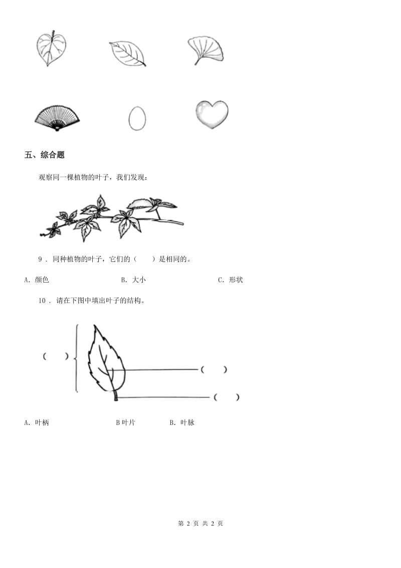 科学一年级上册1.3 观察叶练习卷_第2页