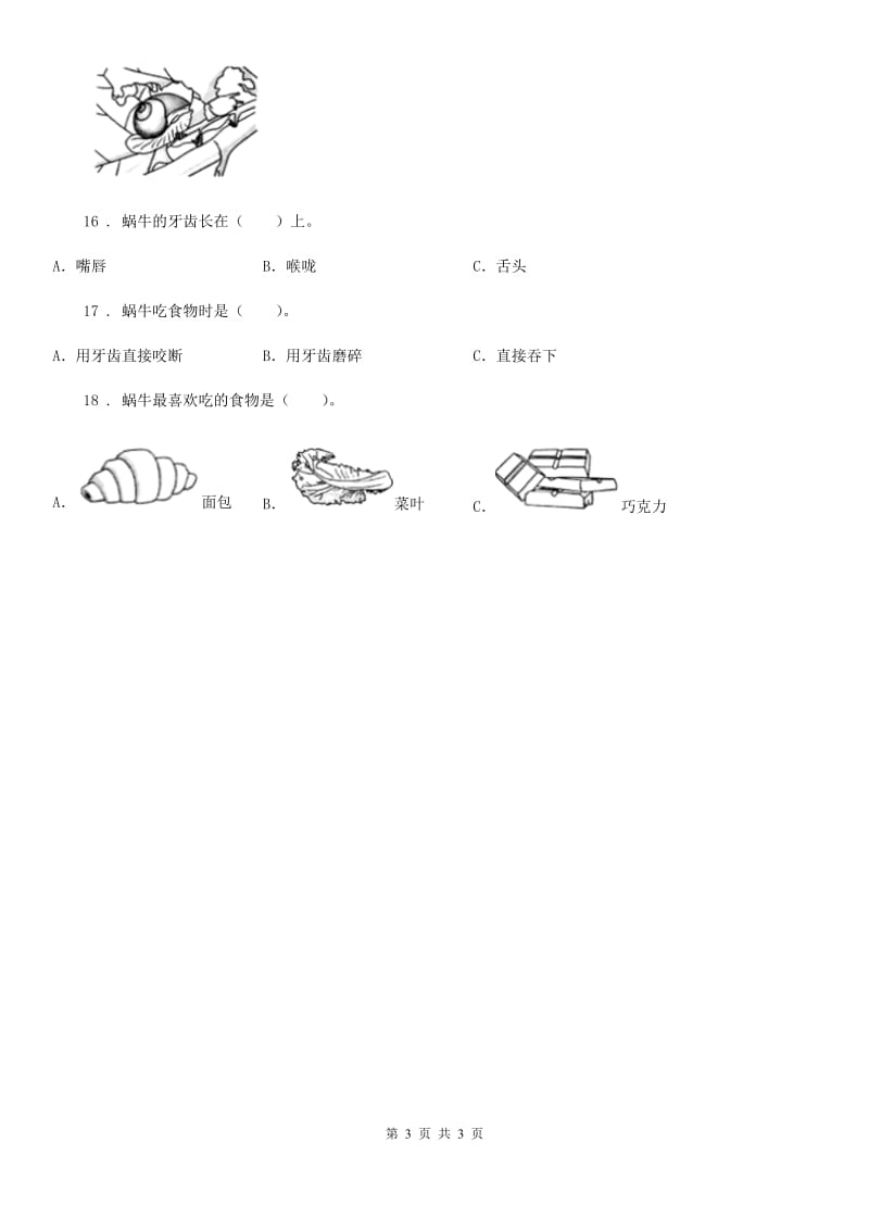 科学2020年三年级下册2.4 蚕变了新模样练习卷（II）卷_第3页