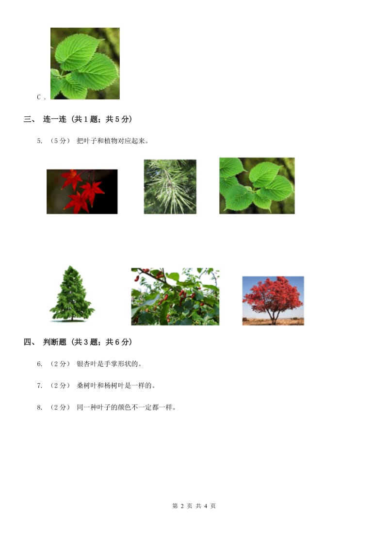 教科版小学科学一年级上学期第一单元第四课《这是谁的叶》_第2页