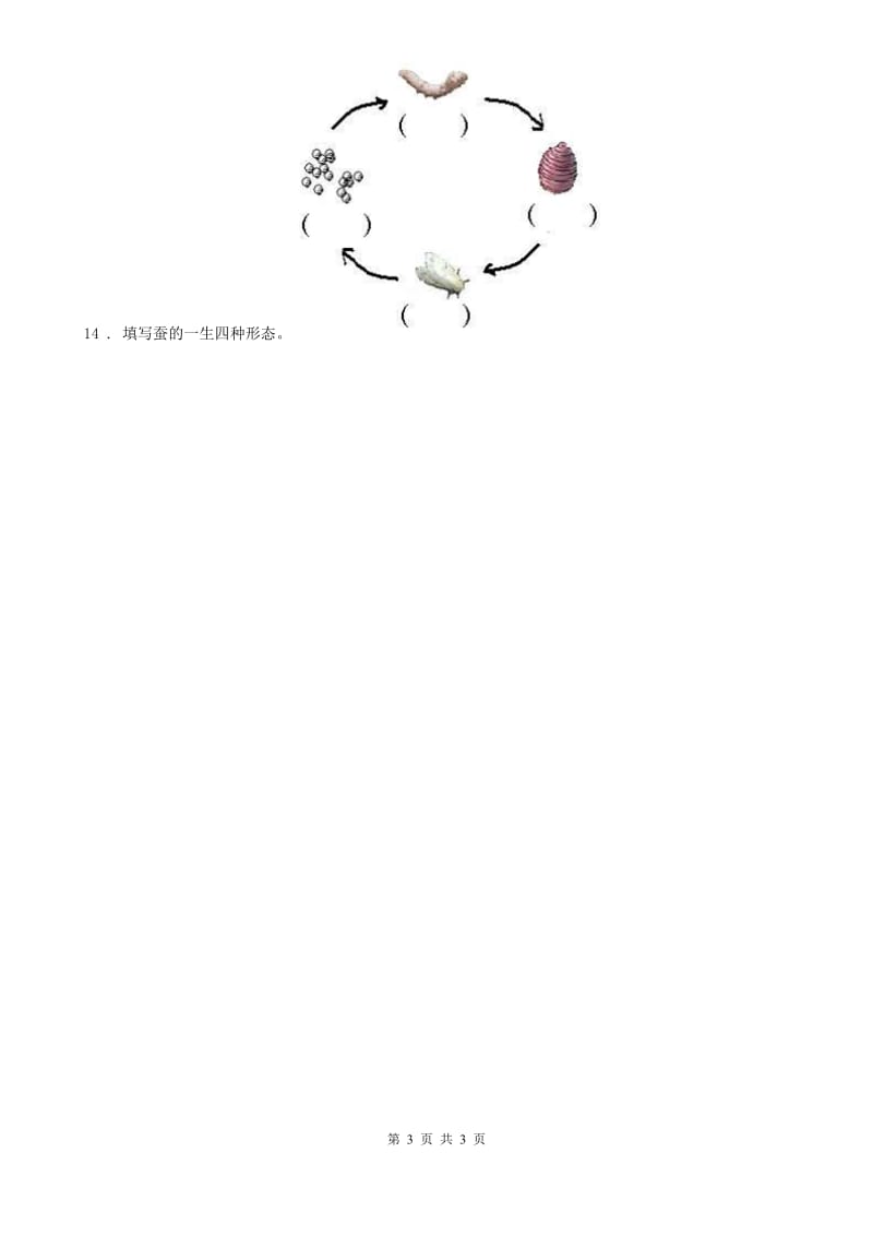 科学2020版三年级下册2.5 茧中钻出了蚕蛾练习卷（II）卷（练习）_第3页