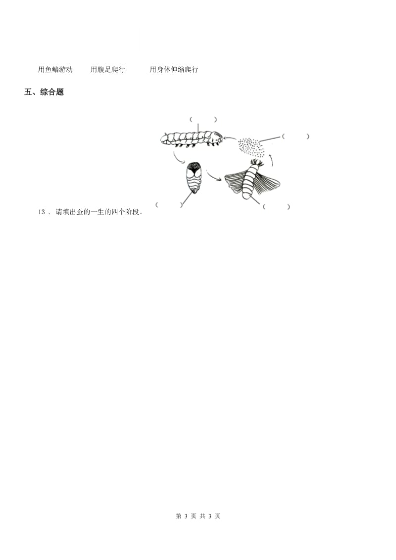 北京市科学一年级下册3.观察一种动物_第3页